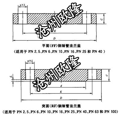 法兰盖 GB/T 9123 PN100 BL